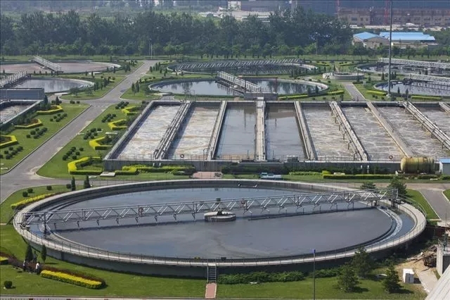 1539239933828682.jpg 1.webp.jpg